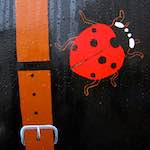 Third image from the photoset 'elephant (v)'.