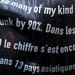 Fifth image from the photoset 'elephant (v)'.