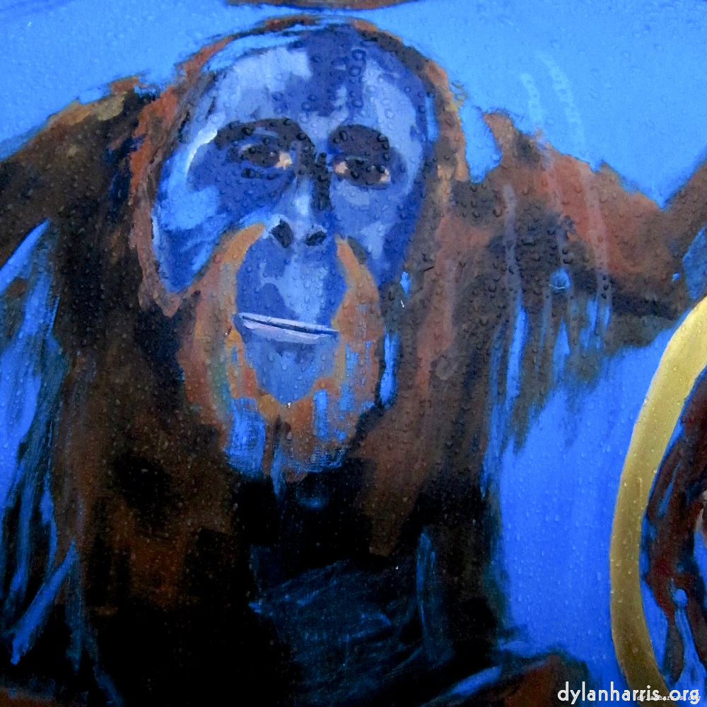 Image: Image 'elephant (vi) 2'.