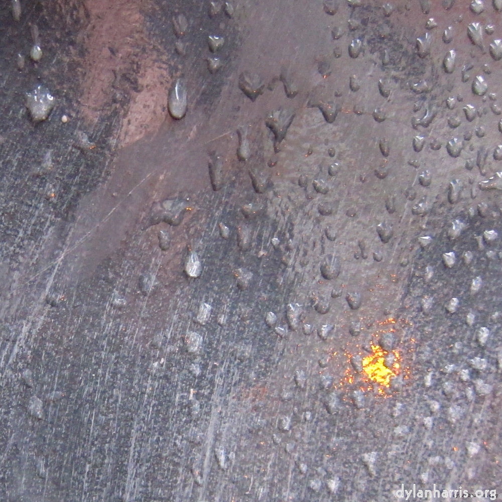 Image 'elephant (vii) 5'.