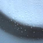 Second image from the photoset 'elephant (vii)'.