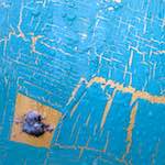 Third image from the photoset 'elephant (vii)'.