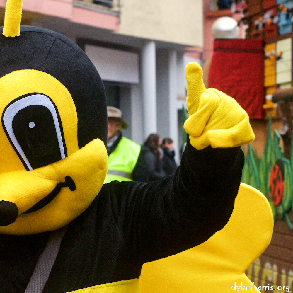 Image: Image 'esch&ndash;sur&ndash;alzette (xi) 5', of daffodils.