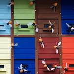 Image: Second image from the photoset 'esch&ndash;sur&ndash;alzette (xi)'.