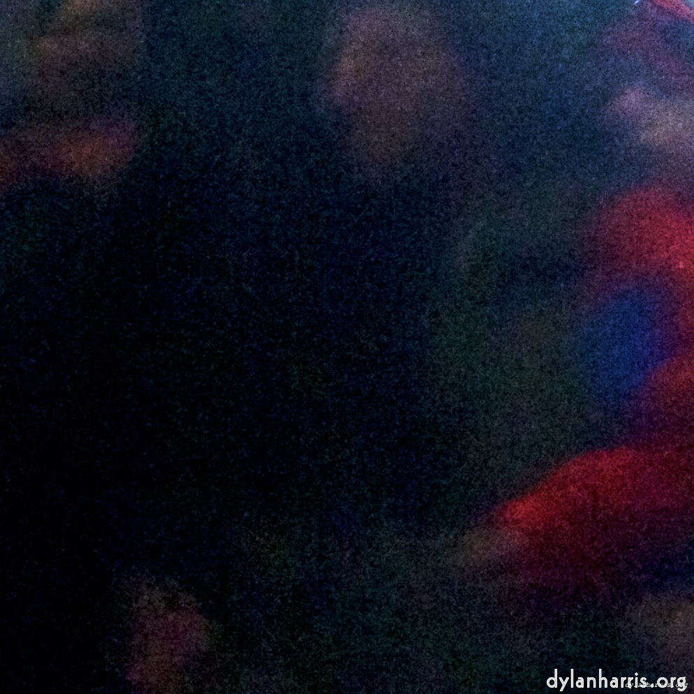 image: Image 'esch&ndash;sur&ndash;alzette (xiii) 2', at Escher D&eacute;iereesch, head and torso of a doe.