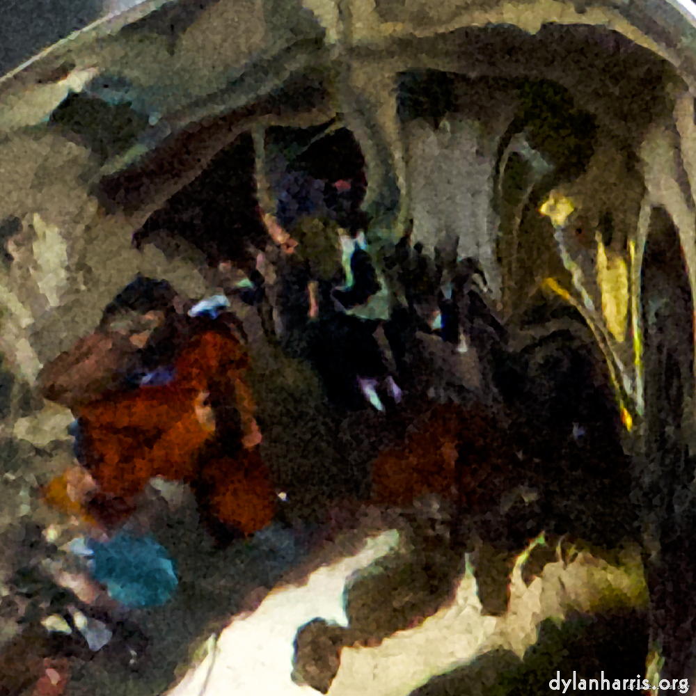 image: Four photosets from this year&rsquo;s rather damp escher cavalcade.