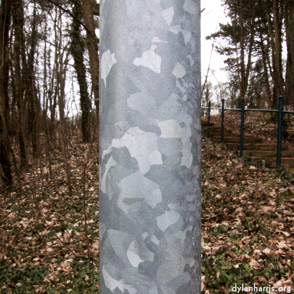 Image 'esch&ndash;sur&ndash;alzette (xiv) 1', at Escher D&eacute;iereesch, of a male goat with a near&ndash;circular horn.