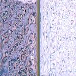 image: Image from the photoset &lsquo;la d&eacute;fense (liv)&rsquo;.