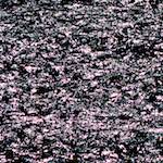 First image from the photoset 'vianden'.