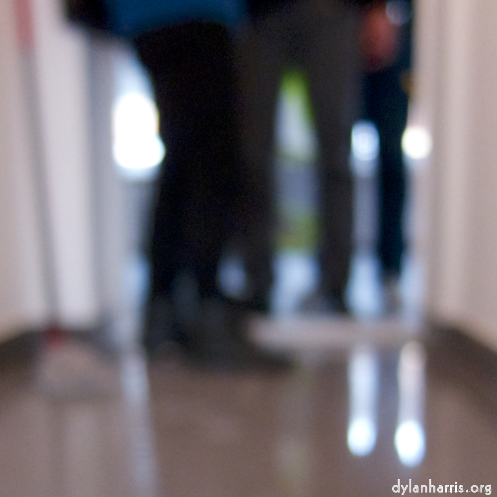 Image: Image 'doheem (i) 5'.