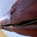 Fourth image from the photoset 'canal (i)'.