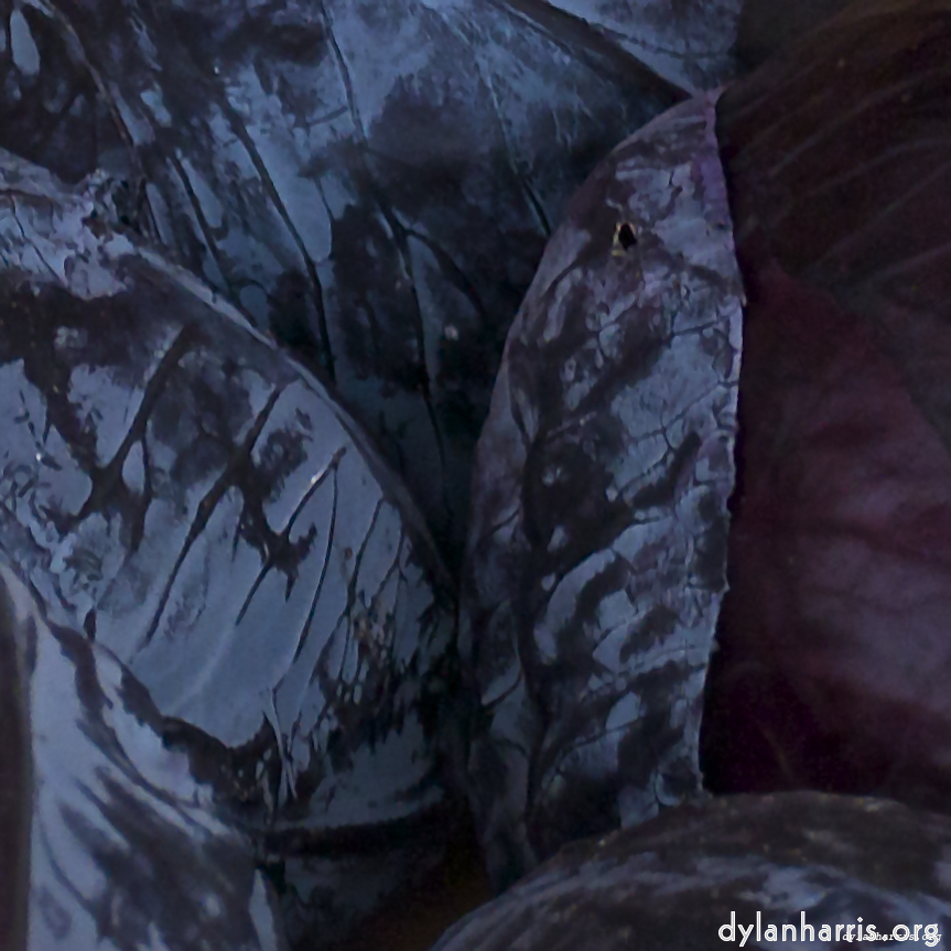 Image: Image 'montmartre (ii) 2'.