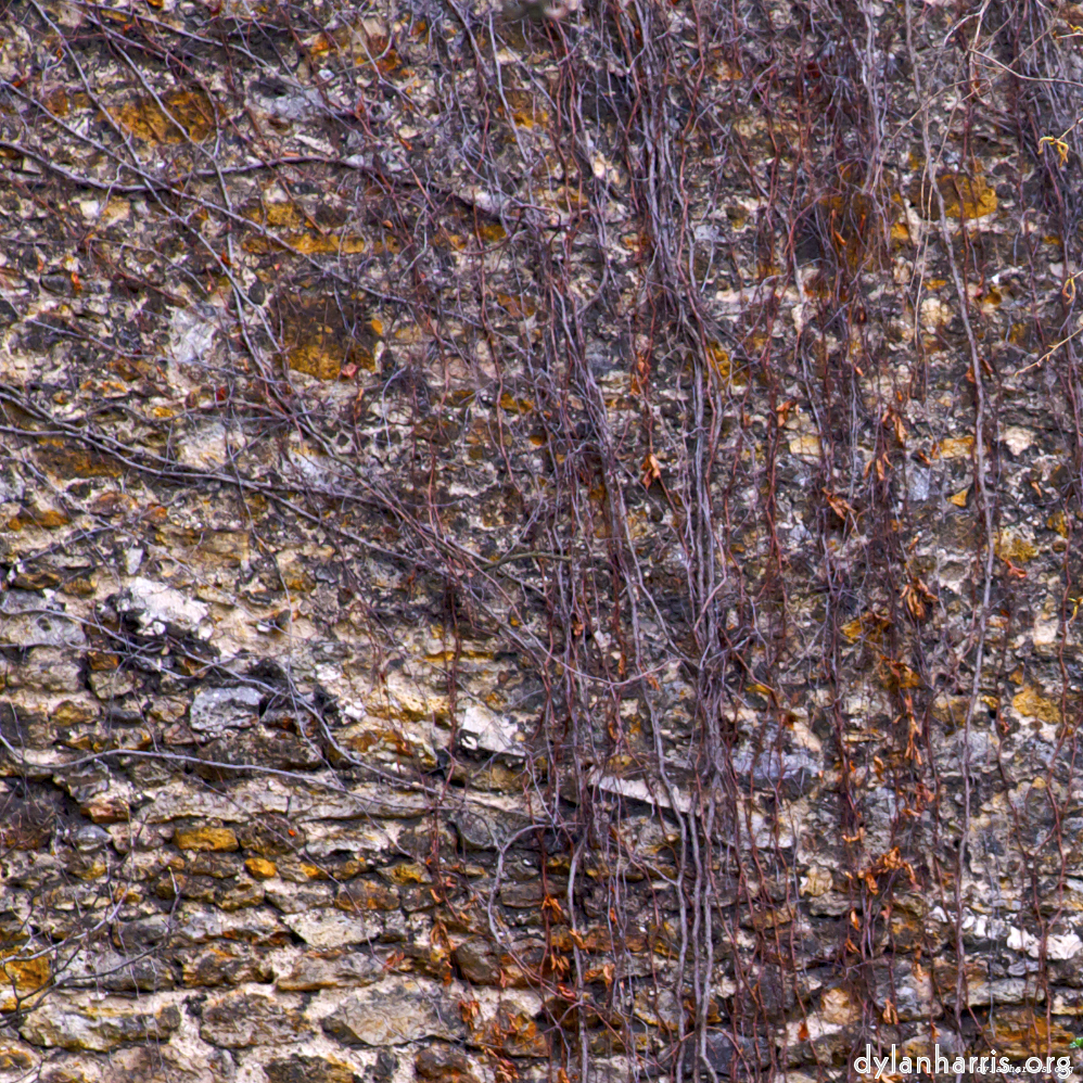 Image 'montmartre (ii) 6'.