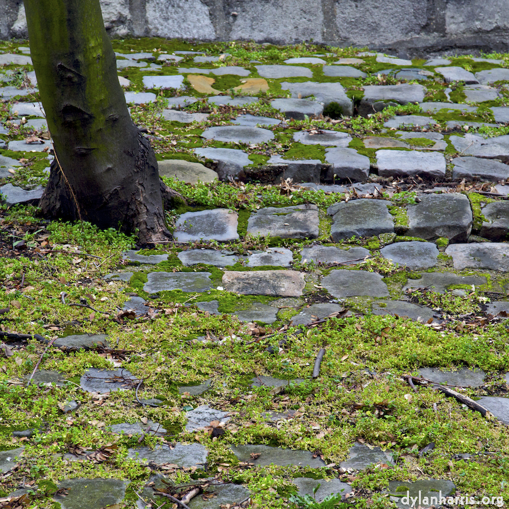 Image 'montmartre (ii) 8'.