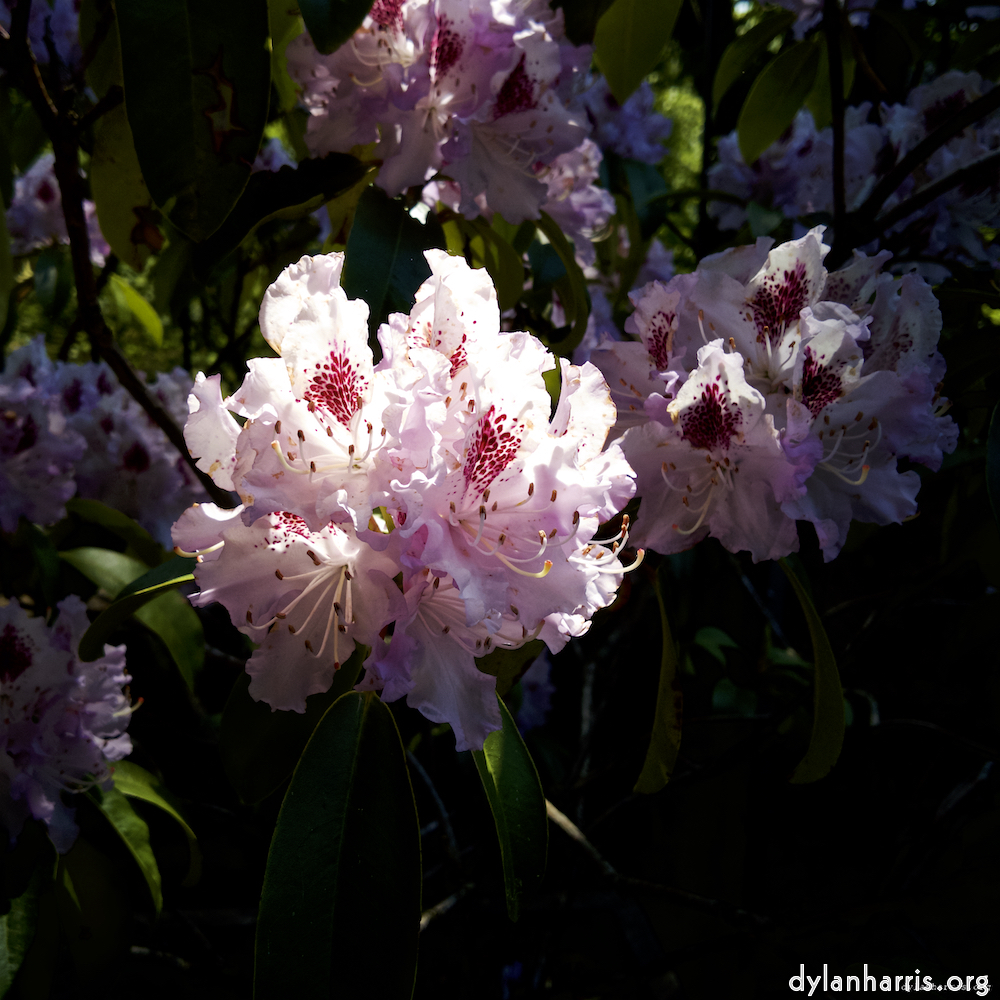 image: This is &lsquo;luxembourg (xi) 3&rsquo;.