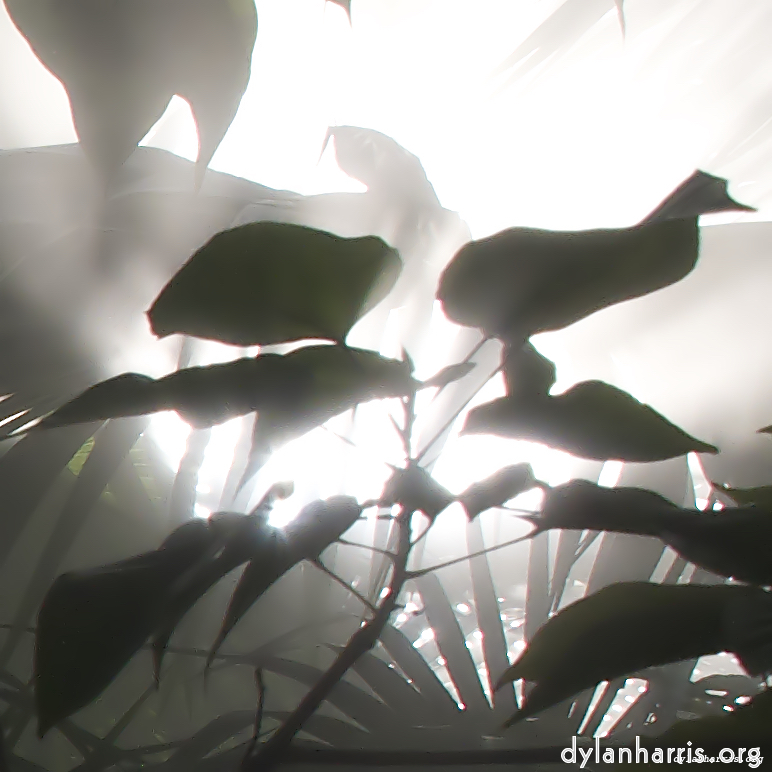 Image: Image 'dublin (x) 1'.