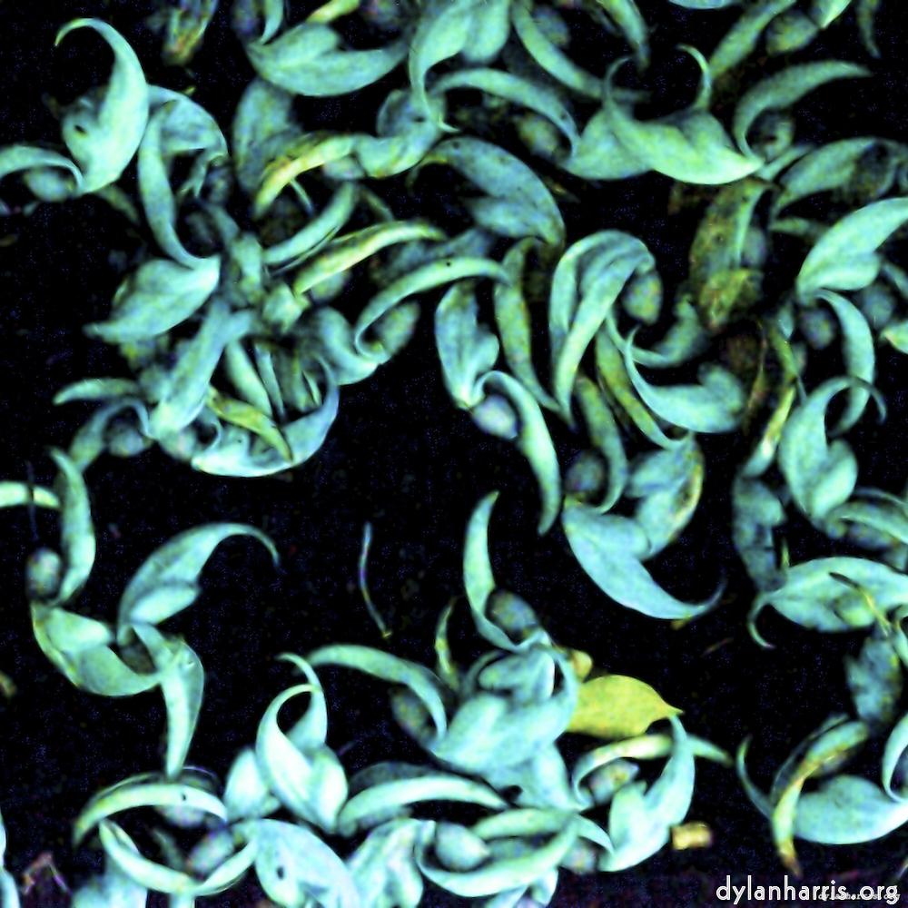 Image: Image 'dublin (x) 3'.