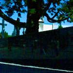 Image: Sixth image from the photoset 'dublin (x)'.