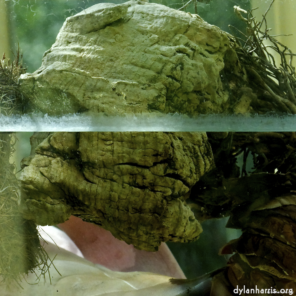 Image 'dublin (xi) 1'.