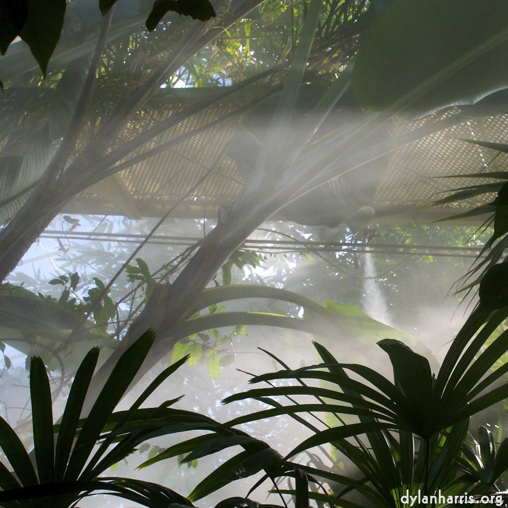 Image: Image 'dublin (xi) 2'.