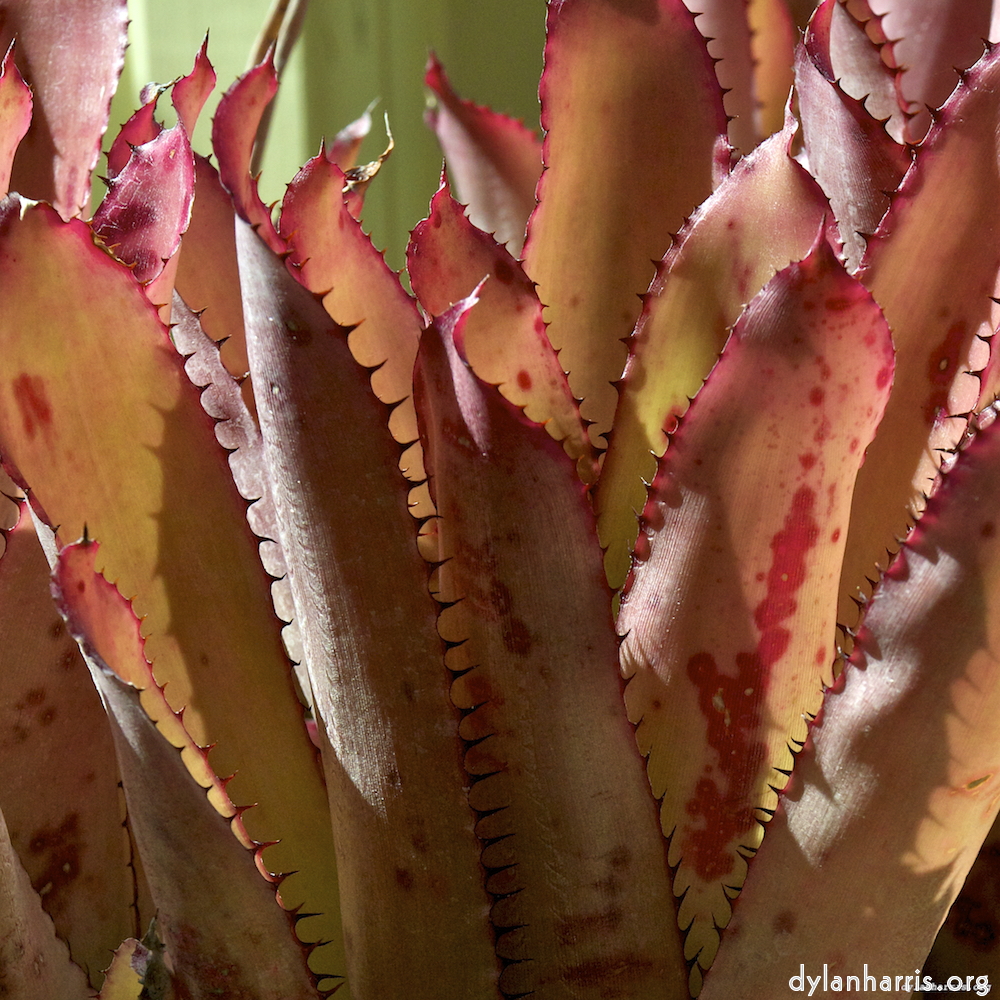 Image: Image 'dublin (xi) 4'.