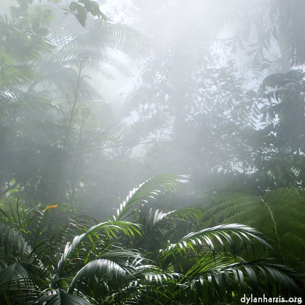 Image 'dublin (xi) 5'.