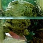 First image from the photoset 'dublin (xi)'.