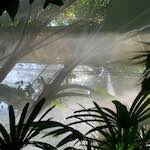 Second image from the photoset 'dublin (xi)'.