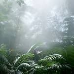 Fifth image from the photoset 'dublin (xi)'.