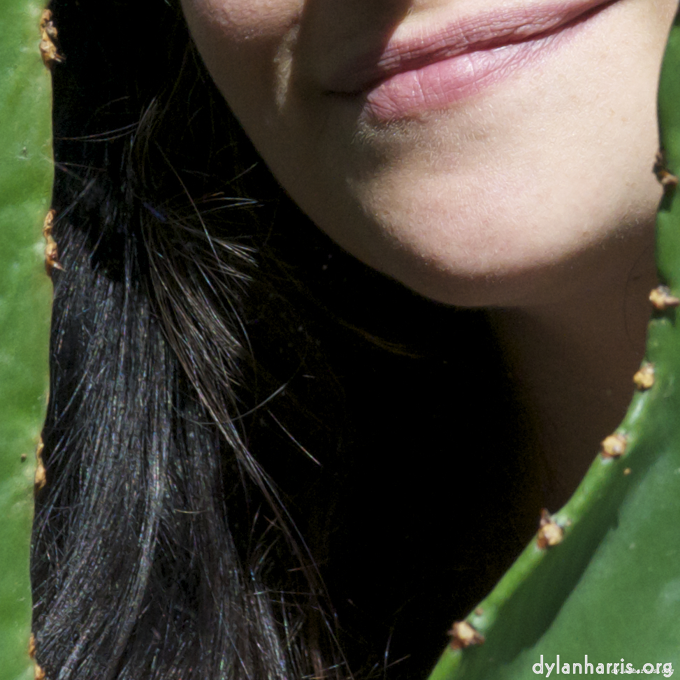 image: This is &lsquo;poets (i) 4&rsquo;.