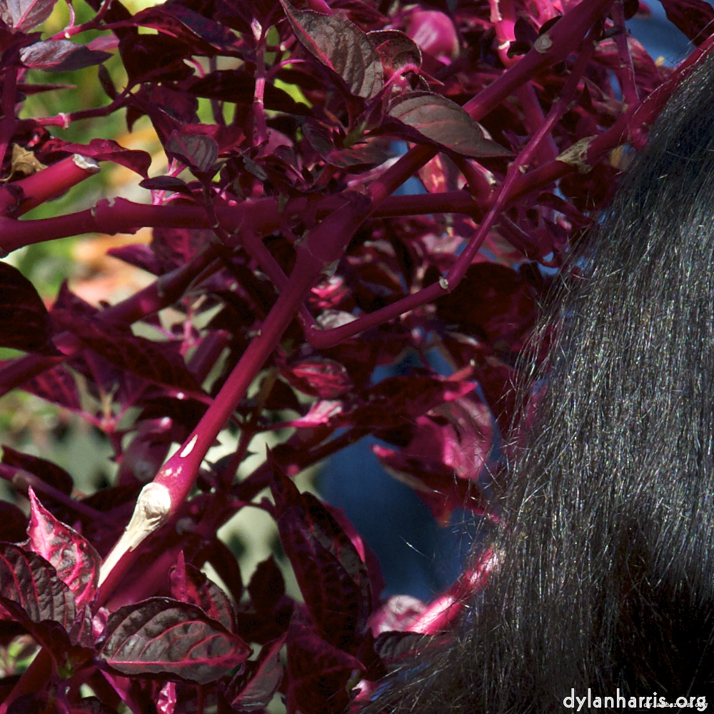 image: This is &lsquo;poets (i) 6&rsquo;.