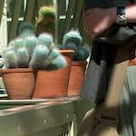 image: Image from the photoset &lsquo;poets (i)&rsquo;.