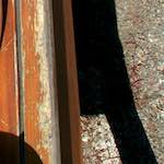 image: Image from the photoset &lsquo;poets (i)&rsquo;.