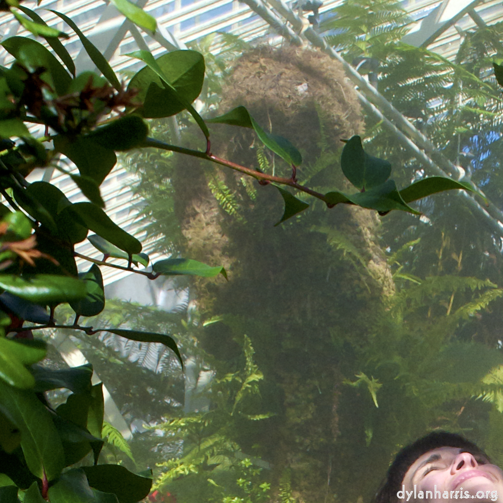 Image 'poets (ii) 1'.