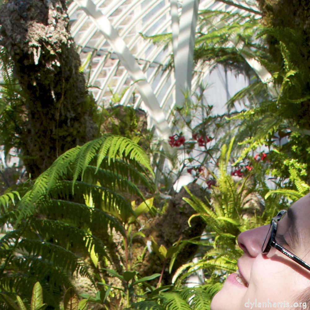 Image 'poets (ii) 3'.