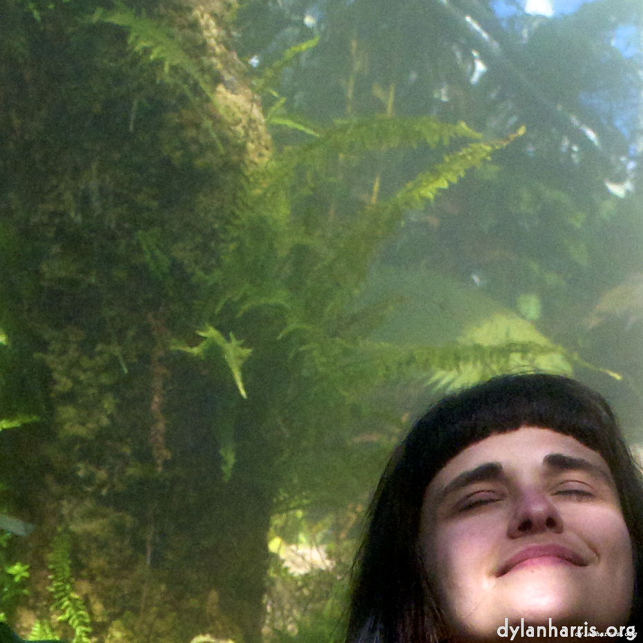 Image: Image 'poets (ii) 4'.