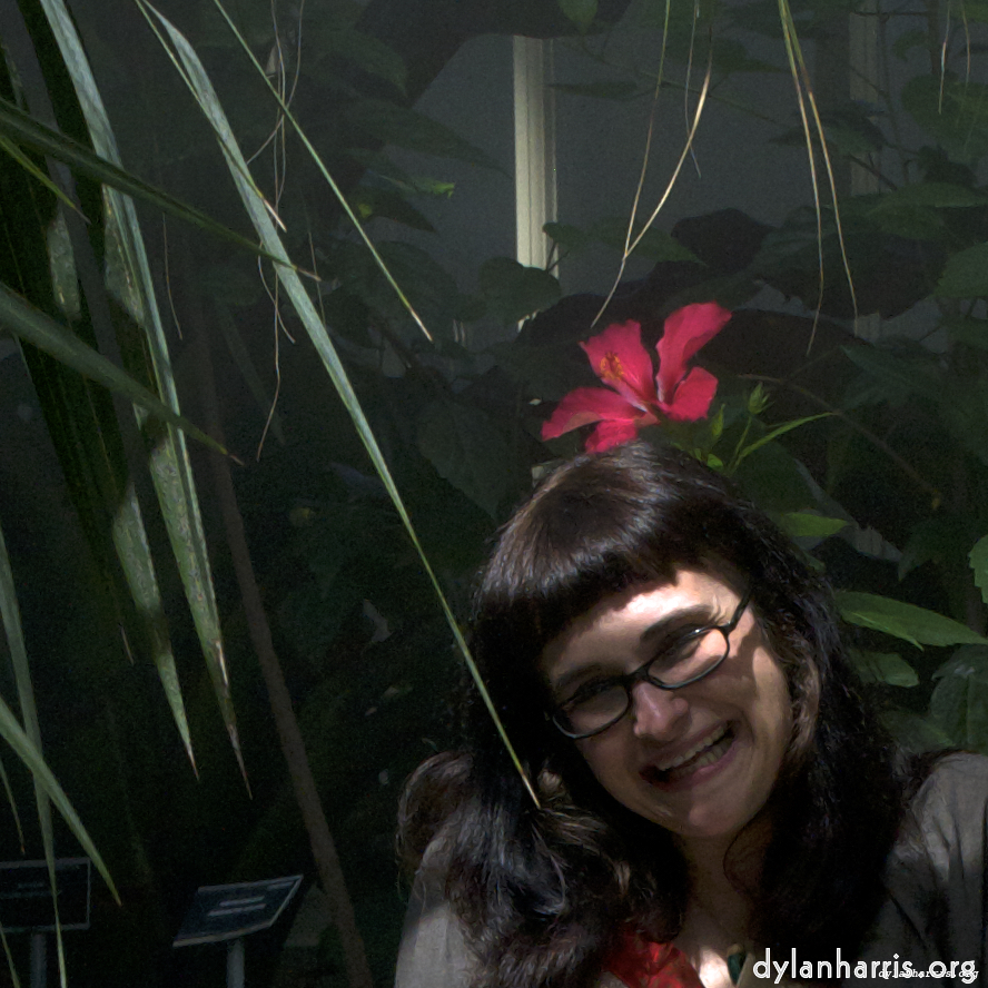 Image 'poets (ii) 5'.