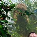 First image from the photoset 'poets (ii)'.