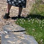 image: Image from the photoset &lsquo;poets (iii)&rsquo;.