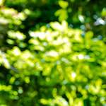 Third image from the photoset 'dublin (xii)'.