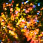 Fourth image from the photoset 'dublin (xii)'.