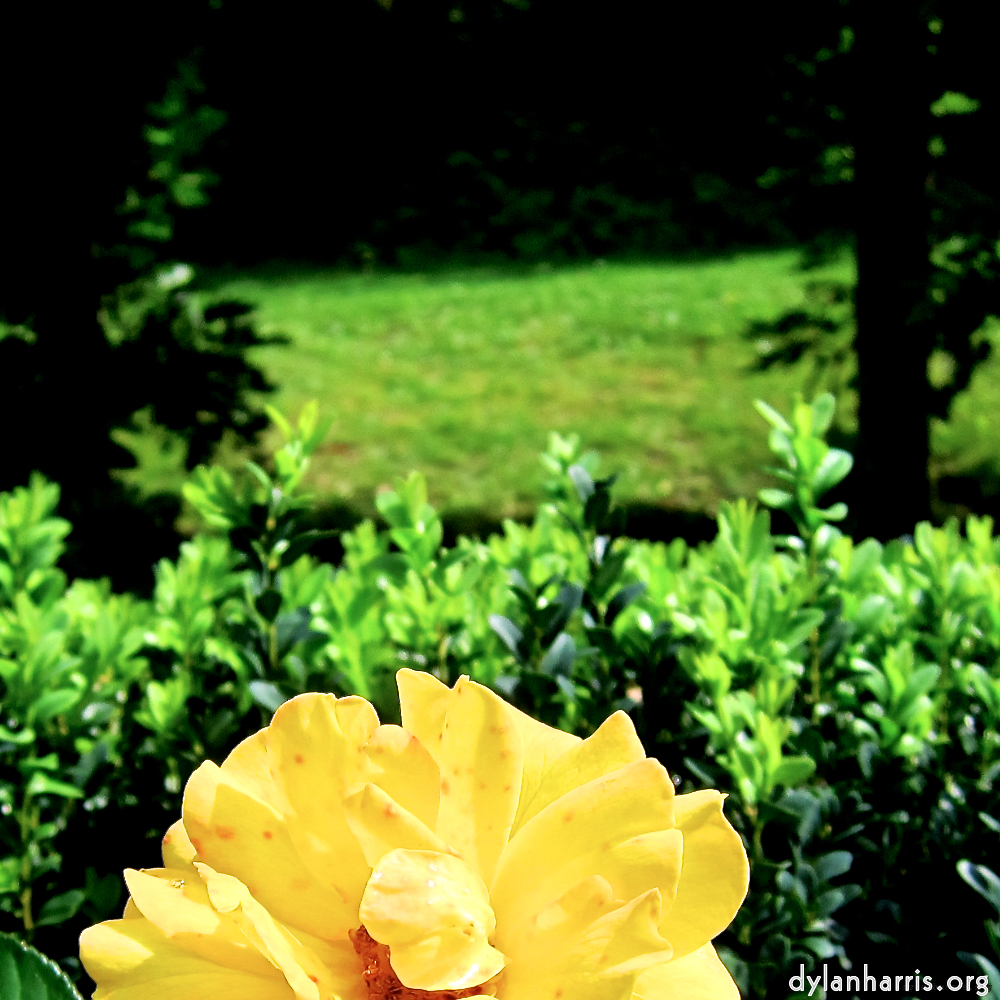 Image: Image 'parc (xx) 1'.