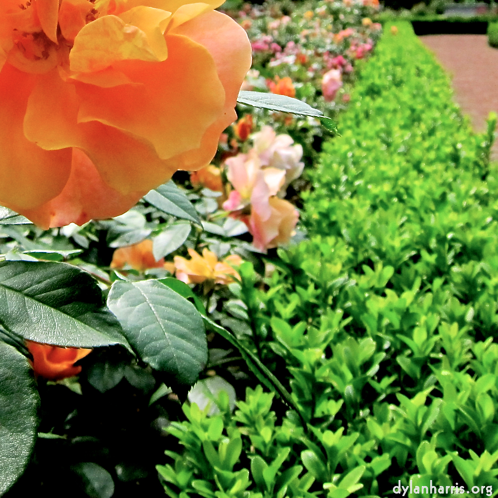 Image: Image 'parc (xx) 3'.