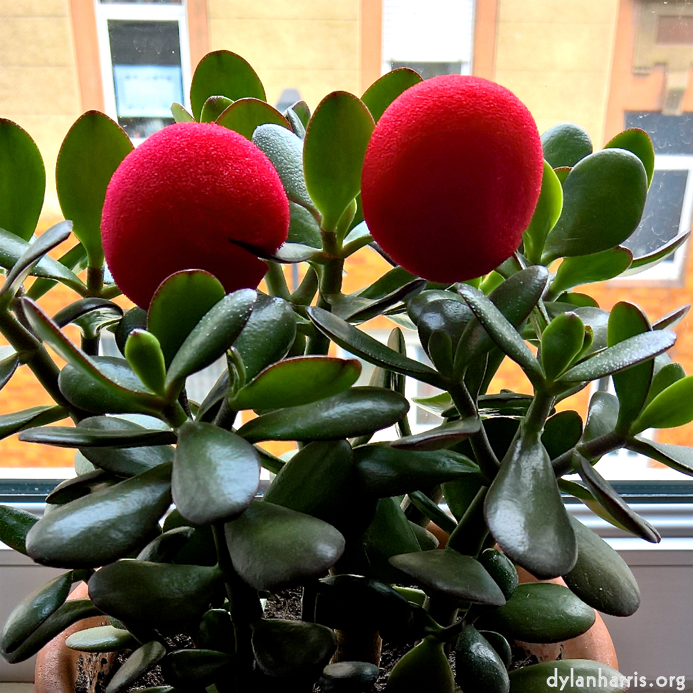 image: This is &lsquo;escher blummen (cxxxix) 1&rsquo;.