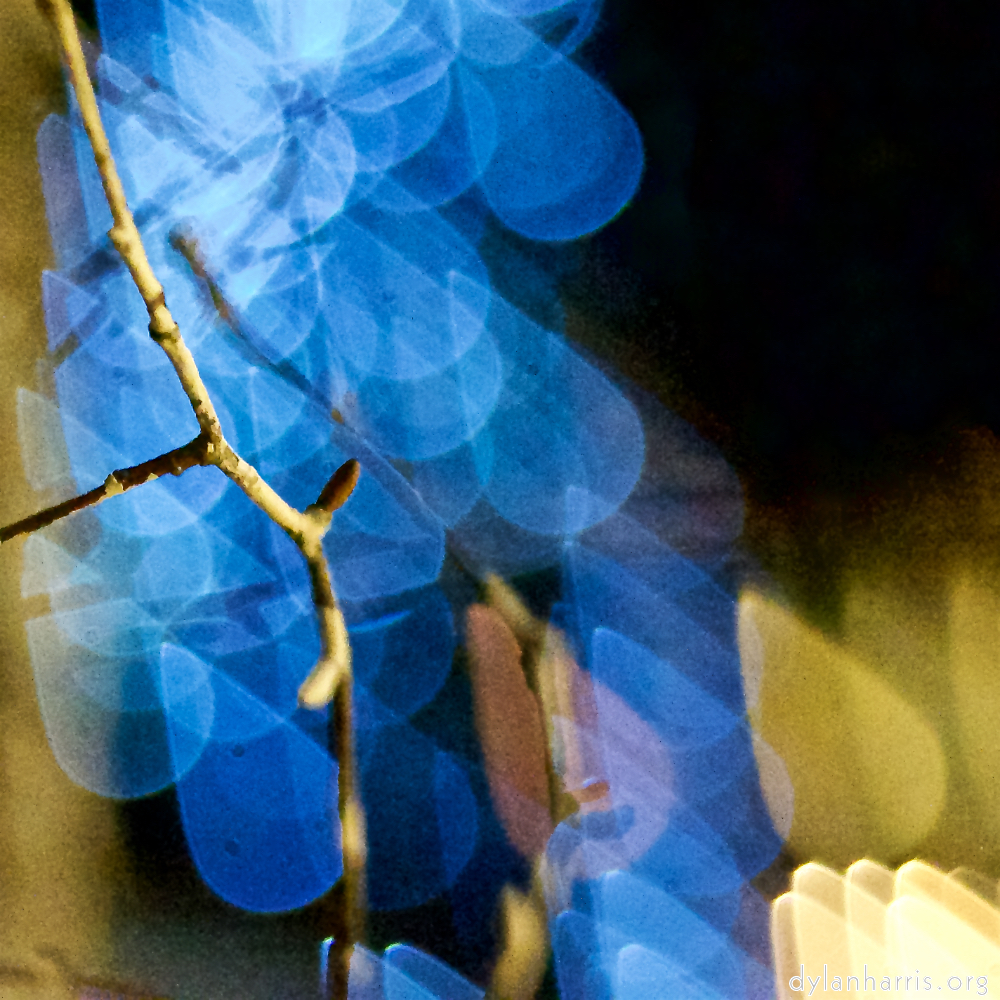 image: Image 'esch&ndash;sur&ndash;alzette (xxxi) 2', at Escher D&eacute;ierepark, head and torso of a doe.