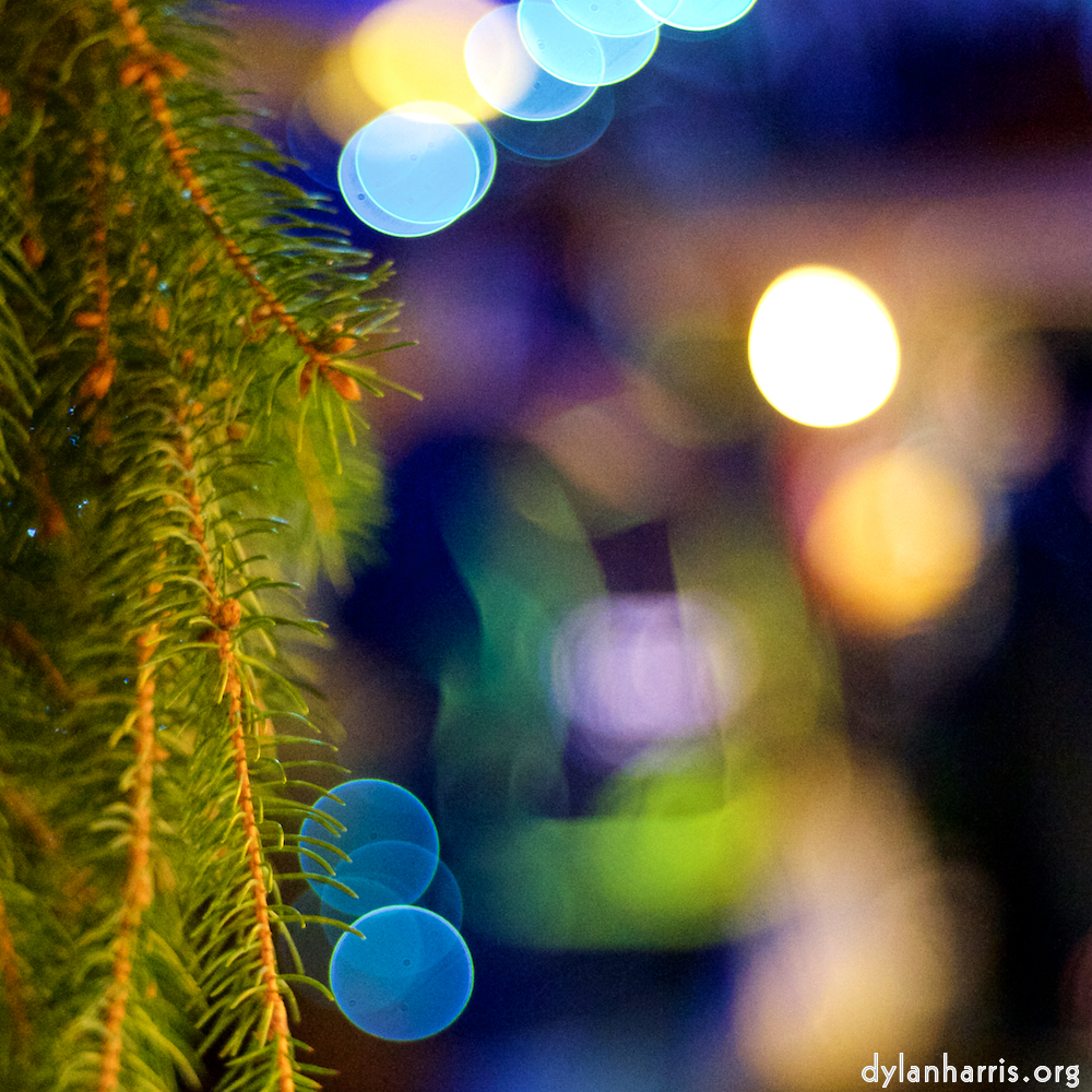 image: Image 'esch&ndash;sur&ndash;alzette (xxxi) 3', at Escher D&eacute;ierepark, the head and crest of a chicken.