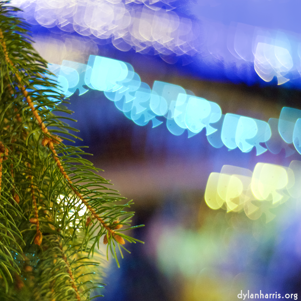 image: Image 'esch&ndash;sur&ndash;alzette (xxxi) 7', at Escher D&eacute;ierepark, the snout of a highland bull.