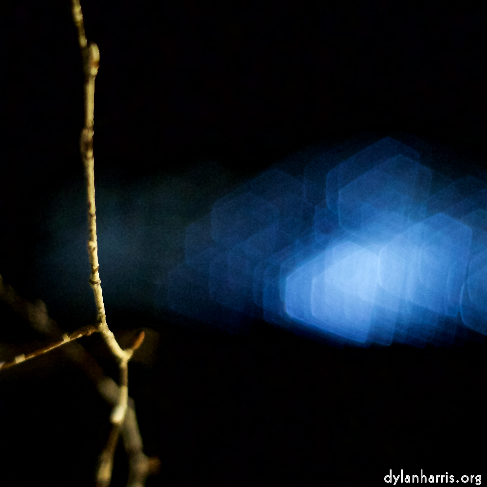 image: Image 'esch&ndash;sur&ndash;alzette (xxxi) 8', at Escher D&eacute;ierepark, a does comes to see if I&rsquo;ve a treat, while behind her others are fed. This is one of the series composed to hint there&rsquo;s more to a photo than what&rsquo;s seen.