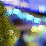 image: Seventh image of Escher D&eacute;ierepark, from the photoset 'esch&ndash;sur&ndash;alzette (xxxi)'.