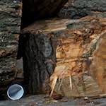 First image from the photoset 'paris (ii)'.